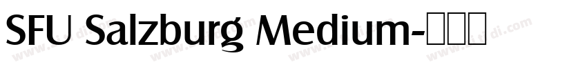SFU Salzburg Medium字体转换